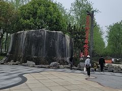 -合肥滨湖国家森林公园