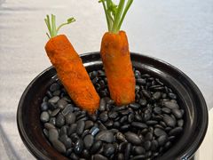 -丁老爷子苏香圆