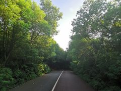 -艾溪湖湿地公园