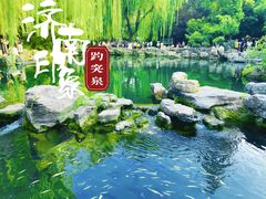 -趵突泉景区