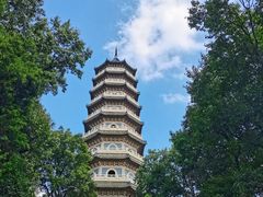 -灵谷景区