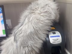 -佑安动物医院·全科·内窥镜中心(幸福巷店)