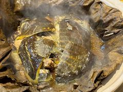 甲鱼-新白鹿餐厅(城西银泰城店)