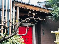 -西安国际创新人才交流中心•药浴温泉
