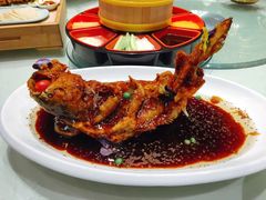 -真地道京味府·鲜橙烤鸭·北京菜(朝外大街东大桥店)
