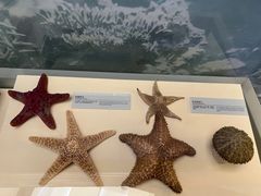 -上海中国航海博物馆