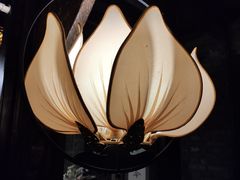 -鱼桥巷·美学川菜