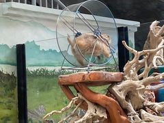 -海合安成都极地海洋公园