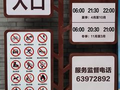 -莲花池公园