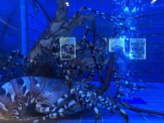 -金苑海鲜酒家(来魅力店)