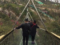 -清境桃源
