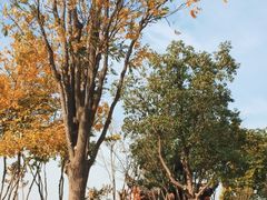 -朱仙镇启封故园景区