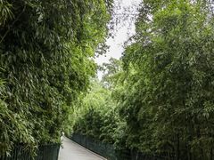 -红螺寺