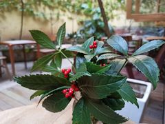 -懒鱼时光馆(沙坪坝店)