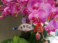 -阿娘家·原生态农家菜(国顺东路店)