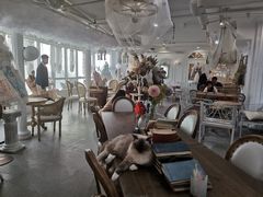 大堂-共舞时光猫咖·狗咖(新街口店)