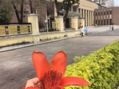-广州鲁迅纪念馆(国民党一大旧址)