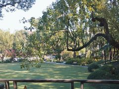 -申粤轩酒楼·三十年粤菜经典(丁香花园店)