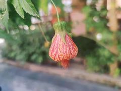 -竹庄餐馆·26年店(南昆山景区店)