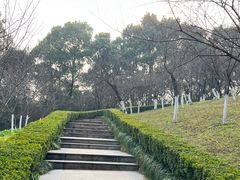 -南山植物园