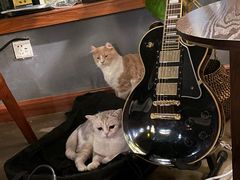 -咖法森林·咖啡  酒吧(天河店)