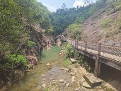 -广州白江湖森林公园