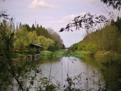 -黄海国家森林公园
