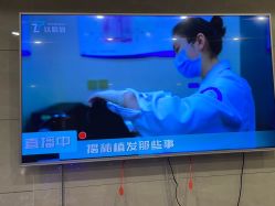 -碧莲盛·不剃发植发