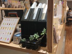 -白日梦奶茶