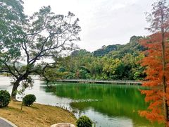 -广州市白云山风景名胜区