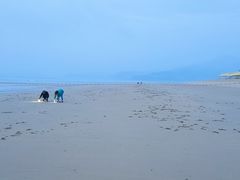 -北岐滩涂