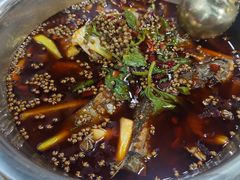 -曾老幺鱼庄(龙华商厦店)