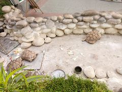 -南宫五洲植物乐园