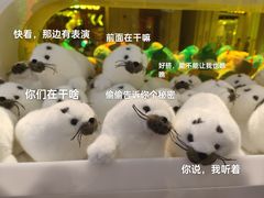 -欢乐海岸海洋奇梦馆