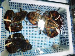 -霞涌市场海鲜摆卖区