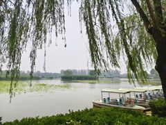 -白洋淀景区