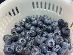 -大学城商业街美食城