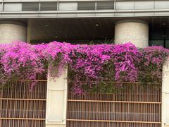 -石排湾郊野公园
