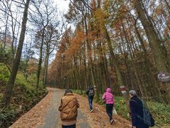 -山王坪喀斯特国家生态公园