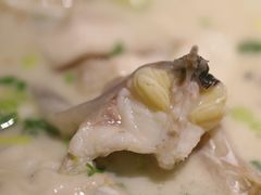 -滇香肴·云南菜蒸汽石锅鱼(云南北路店)