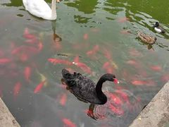-昆明动物园