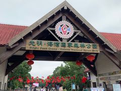 -上海海湾国家森林公园