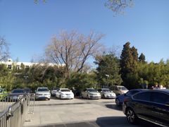 -紫竹院公园-东门停车场