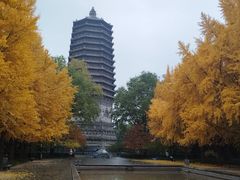 -玲珑塔公园