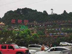 -枇杷园食为鲜火锅(南山店)