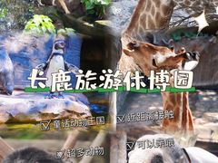 -长鹿旅游休博园