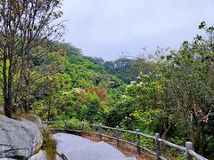 景点-阳台山森林公园