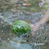 都江堰王婆岩叉水圣地！夏天避暑必去……