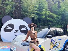 -灵玲国际马戏城