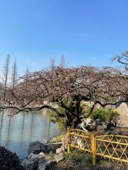 -玄武湖景区-情侣园游乐场